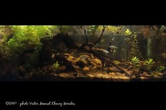 bam_santaaguda_papantla_mexico1_VManuel