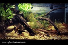 bam_spain_alicante-pinoso1_armartin