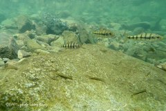 bin_north-zhejiang-grand-canyon3_LiangWang