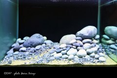 bin_rio-de-coacuilco-hidalgo_mexico1_MArroyo