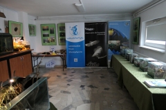 Ogolnopolskie-Dni-Akwarystyki-Zdjecie-18-Wystawa