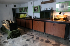 Ogolnopolskie-Dni-Akwarystyki-Zdjecie-20-Wystawa