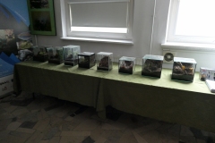 Ogolnopolskie-Dni-Akwarystyki-Zdjecie-24-Wystawa