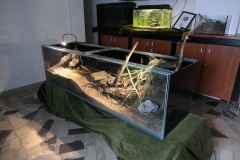 Ogolnopolskie-Dni-Akwarystyki-Zdjecie-26-Wystawa