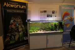 Ogolnopolskie-Dni-Akwarystyki-Zdjecie-34-Wystawa
