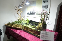 Ogolnopolskie-Dni-Akwarystyki-Zdjecie-41-Wystawa