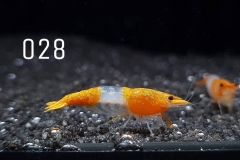 IMG_8280-1030x773 IMG_8280-1030x773