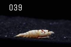 IMG_8285-1030x773 IMG_8285-1030x773