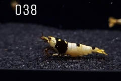 IMG_8289-1030x773 IMG_8289-1030x773