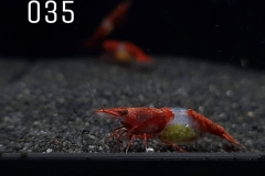 IMG_8291-1030x773 IMG_8291-1030x773