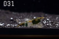 IMG_8292-1030x773 IMG_8292-1030x773