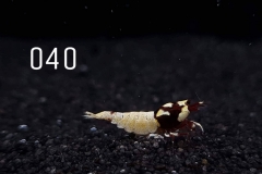 IMG_8293-1030x773 IMG_8293-1030x773