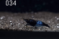 IMG_8294-1030x773 IMG_8294-1030x773