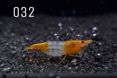 IMG_8297-1030x773 IMG_8297-1030x773