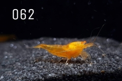 IMG_8311-1030x773 IMG_8311-1030x773