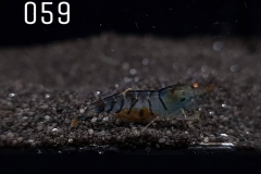 IMG_8312-1030x773 IMG_8312-1030x773