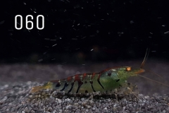 IMG_8313-1030x773 IMG_8313-1030x773