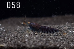 IMG_8314-1030x773 IMG_8314-1030x773