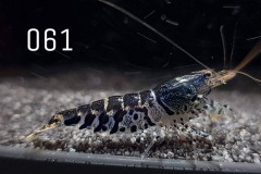 IMG_8315-1030x773 IMG_8315-1030x773