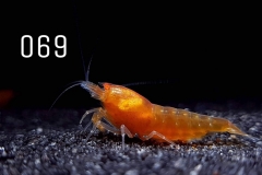 IMG_8319-1030x773 IMG_8319-1030x773