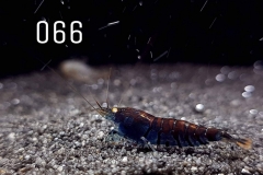 IMG_8320-1030x773 IMG_8320-1030x773