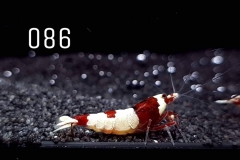 IMG_8321-1030x773 IMG_8321-1030x773