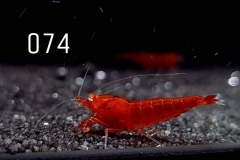 IMG_8322-1030x773 IMG_8322-1030x773