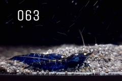 IMG_8324-1030x773 IMG_8324-1030x773