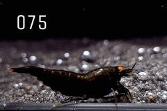 IMG_8326-1030x773 IMG_8326-1030x773