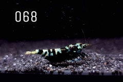 IMG_8328-1030x773 IMG_8328-1030x773