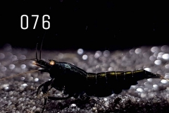 IMG_8332-1030x773 IMG_8332-1030x773