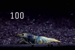 IMG_8342-1030x773 IMG_8342-1030x773