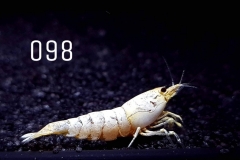 IMG_8343-1030x773 IMG_8343-1030x773