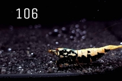 IMG_8344-1030x773 IMG_8344-1030x773