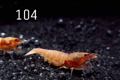 IMG_8345-1030x773 IMG_8345-1030x773