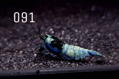 IMG_8347-1030x773 IMG_8347-1030x773