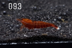 IMG_8348-1030x748 IMG_8348-1030x748