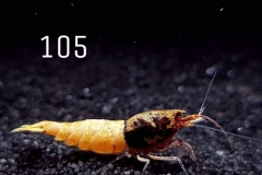 IMG_8349-1030x773 IMG_8349-1030x773