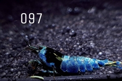 IMG_8350-1030x773 IMG_8350-1030x773