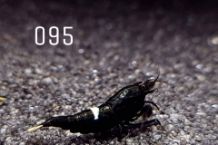 IMG_8351-1030x773 IMG_8351-1030x773