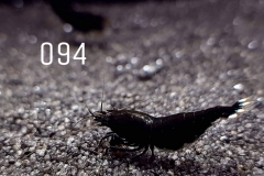 IMG_8352-1030x773 IMG_8352-1030x773