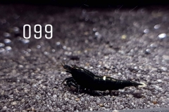 IMG_8353-1030x773 IMG_8353-1030x773