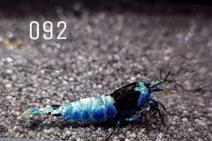 IMG_8354-1030x773 IMG_8354-1030x773