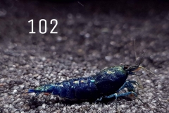 IMG_8355-1030x773 IMG_8355-1030x773