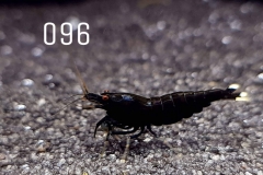 IMG_8356-1030x773 IMG_8356-1030x773