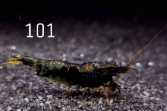 IMG_8357-1030x773 IMG_8357-1030x773