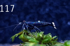 IMG_8359-1030x592 IMG_8359-1030x592