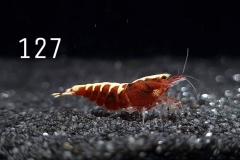 IMG_8360-1030x773 IMG_8360-1030x773