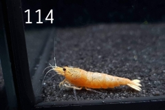 IMG_8362-1030x773 IMG_8362-1030x773