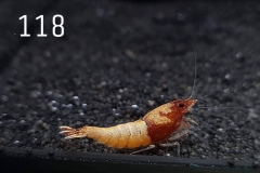 IMG_8364-1030x773 IMG_8364-1030x773